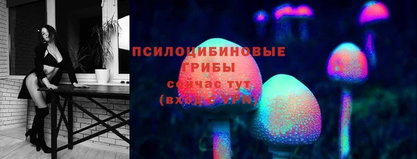PSILOCYBIN Белоозёрский