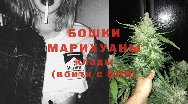 PSILOCYBIN Белоозёрский
