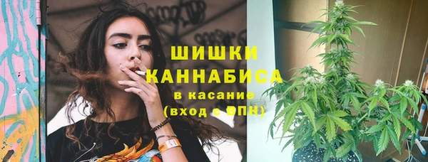 PSILOCYBIN Белоозёрский