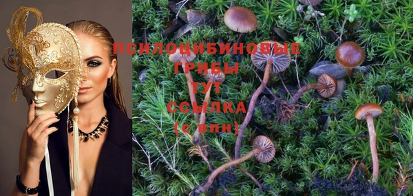 PSILOCYBIN Белоозёрский