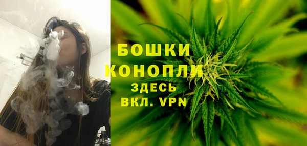 PSILOCYBIN Белоозёрский
