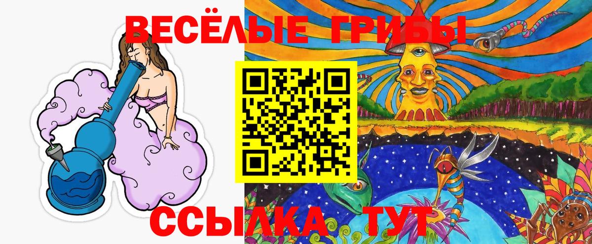 Галлюциногенные грибы Cubensis Валуйки