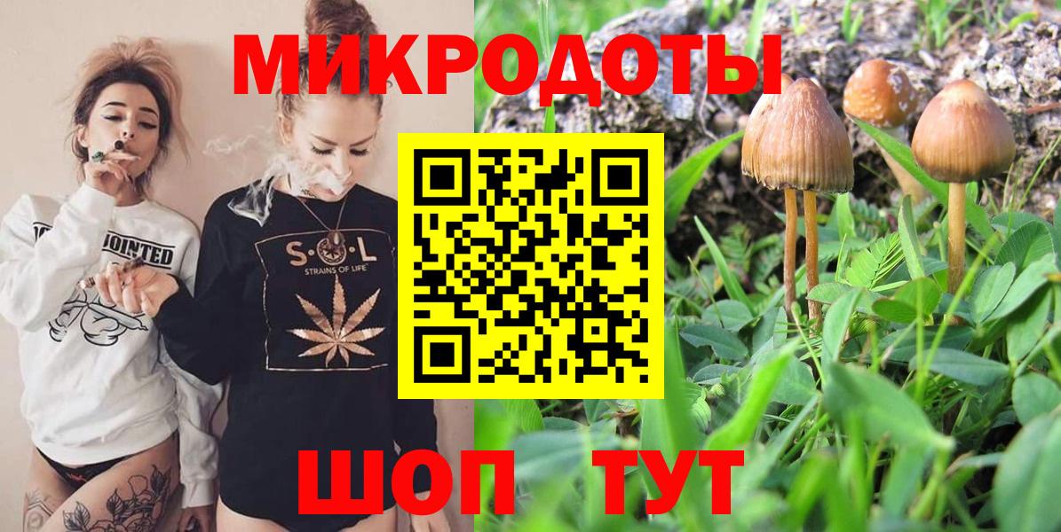 Валуйки  Псилоцибиновые грибы Psilocybine cubensis  Вход с VPN 